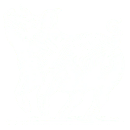 cerdito-feliz-blanco-cruz-tradicion-10