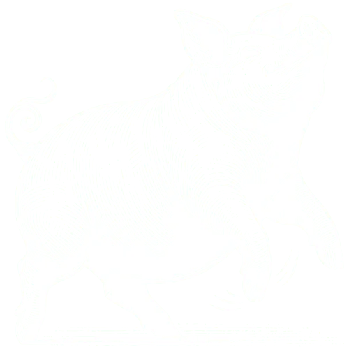 cerdito-feliz-blanco-cruz-tradicion-2